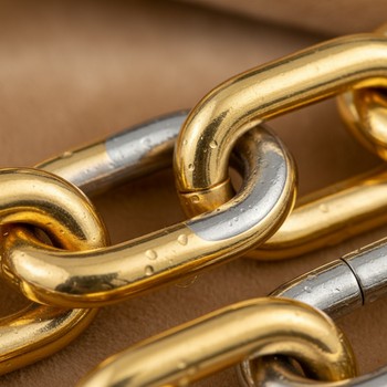 Gold vermeil detail on chain links